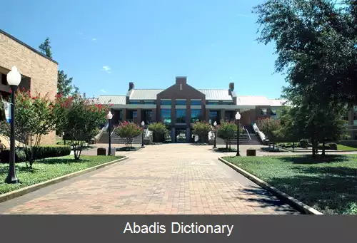 عکس دانشگاه تگزاس در آرلینگتون