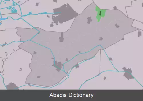 عکس فریسه پالن