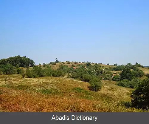 عکس زاربینتسه