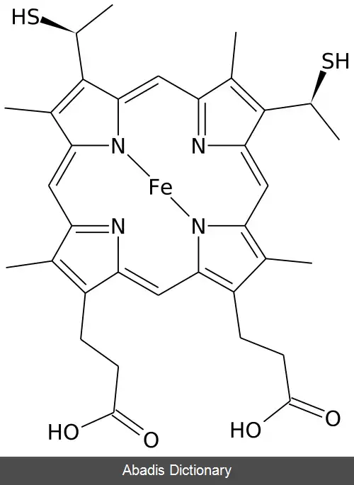 عکس هم سی