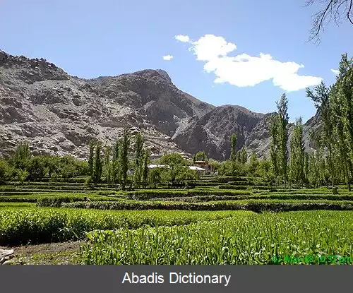 عکس کهرمنگ