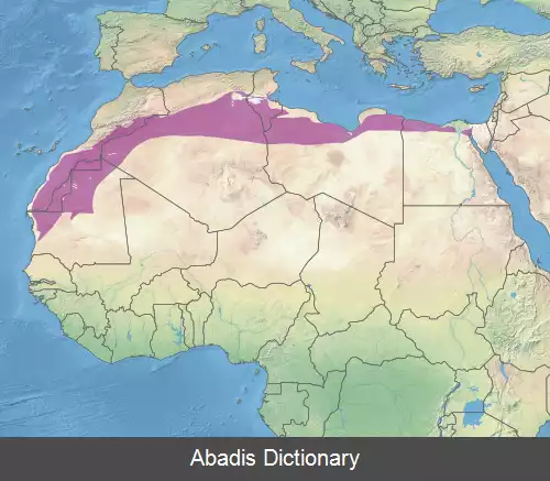 عکس استپ و درختزارهای شمال صحرای آفریقا