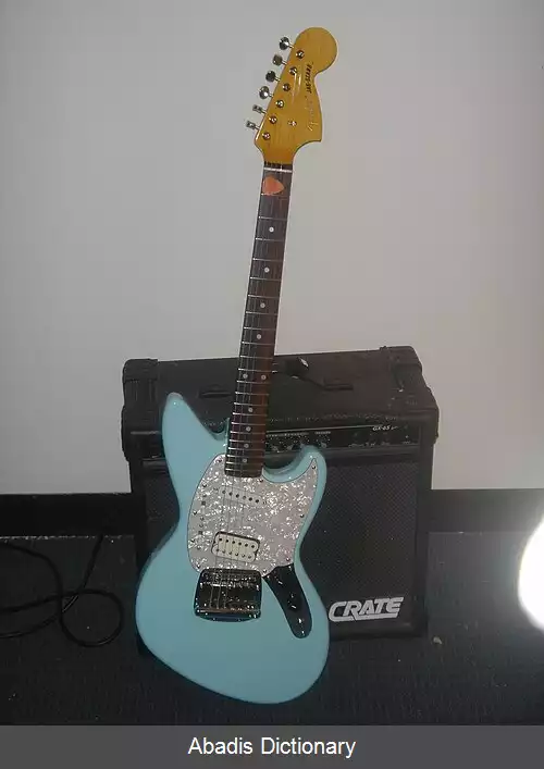 عکس فندر جگ استنگ