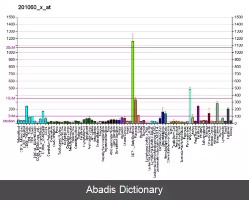 عکس استوماتین