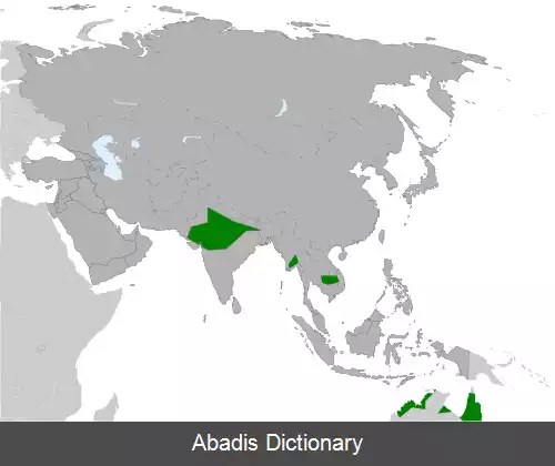 عکس درنای ساروس