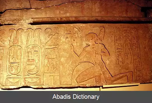 عکس سی آمون