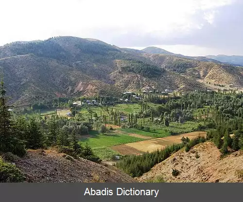 عکس منصورلو (فکه)