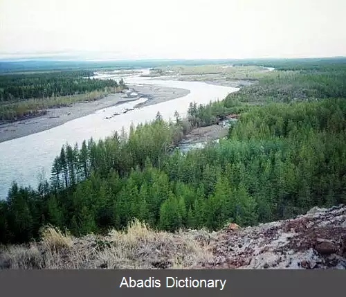 عکس زیریانکا