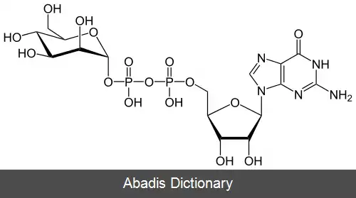 عکس گوانوزین دی فسفات مانوز