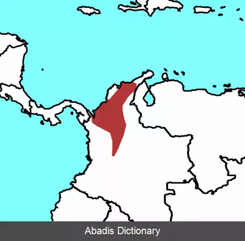 عکس کاکل فری نوک آبی