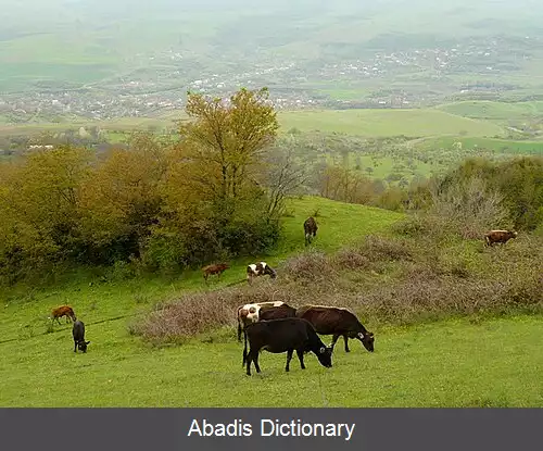 عکس جنگ ارمنستان–جمهوری آذربایجان