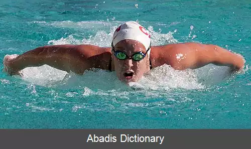 عکس استفانی هورنر