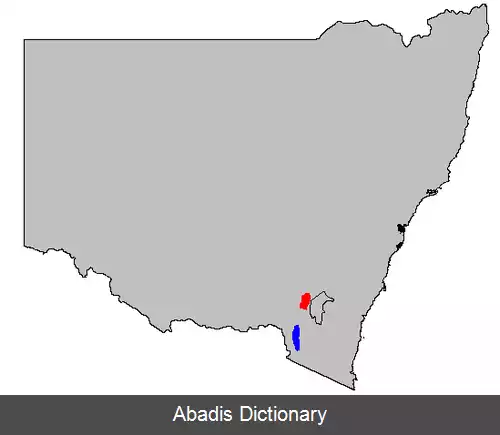 عکس قورباغه کوروبور
