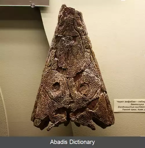 عکس سوسمار ژرفا