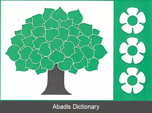 عکس ویسوکه