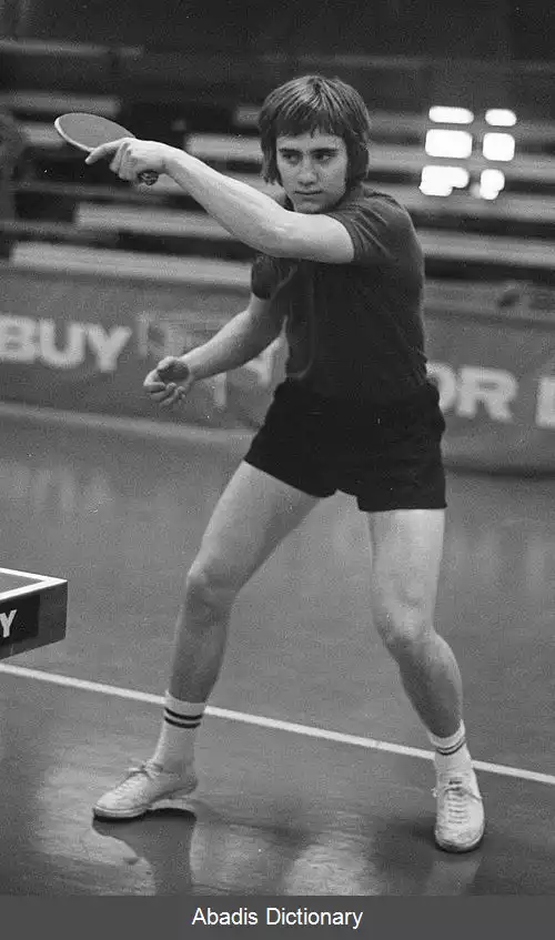 عکس استلان بنگسون