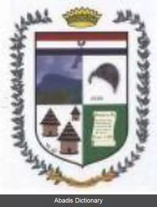 عکس چیناکوتا