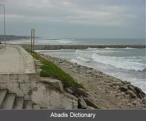 عکس فرگشت ساحل