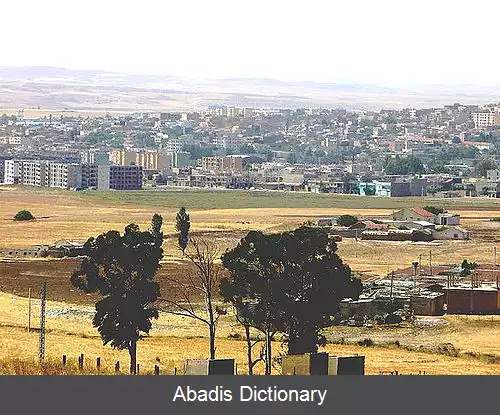 عکس سدراته