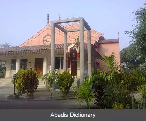 عکس کوآکاتا