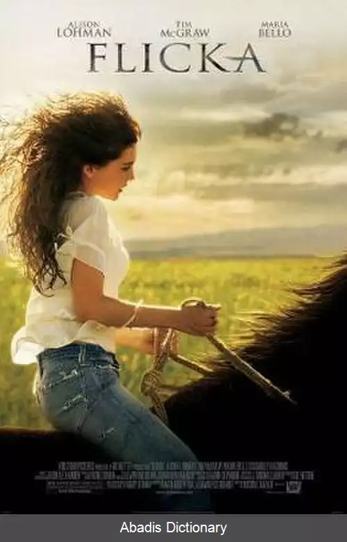 عکس فلیکا (فیلم)