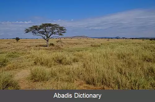 عکس فهرست میراث جهانی در تانزانیا