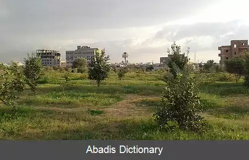عکس عین زاره