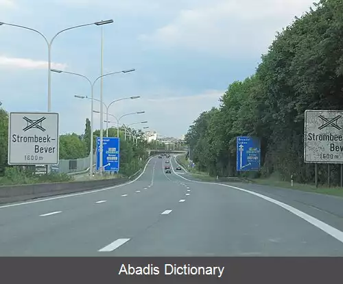 عکس استرومبیک بور