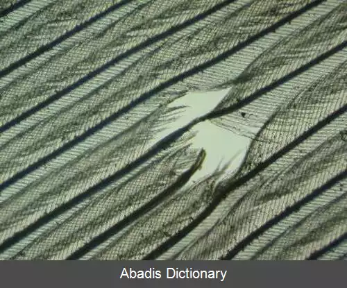عکس سوراخ پر
