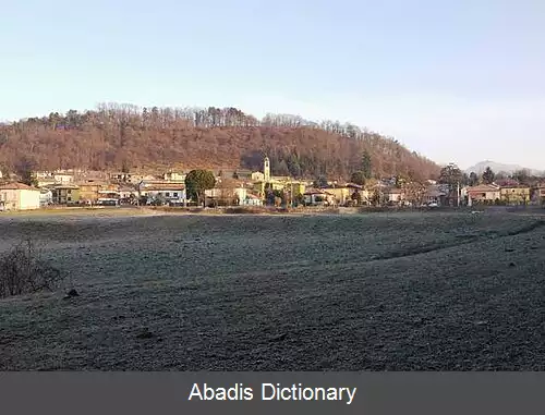 عکس بیتزارونه