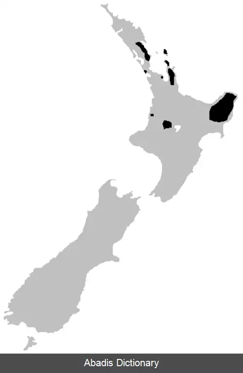 عکس قورباغه هوخ اشتتر