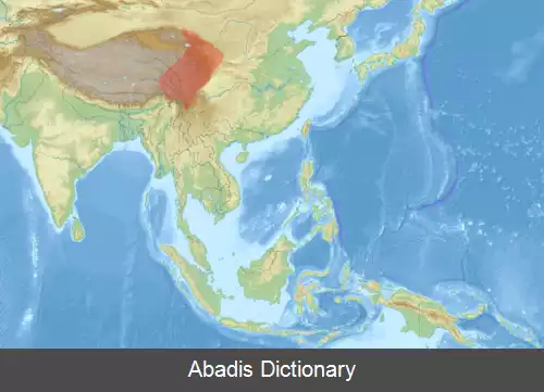 عکس سنجاب پرنده غول پیکر چینی