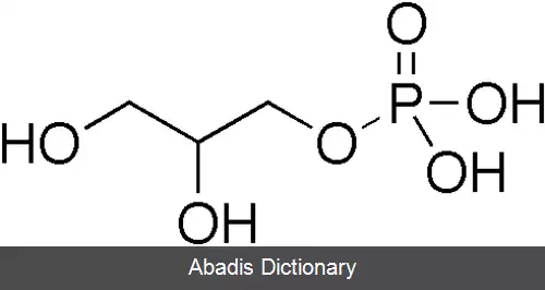 عکس گلیسرول ۳ فسفات