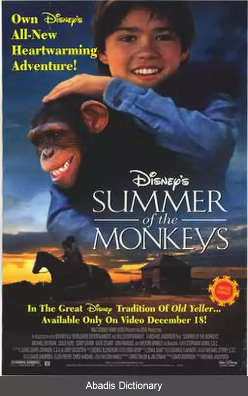 عکس تابستان میمون ها (فیلم ۱۹۹۸)