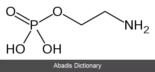 عکس فسفوریل اتانول آمین