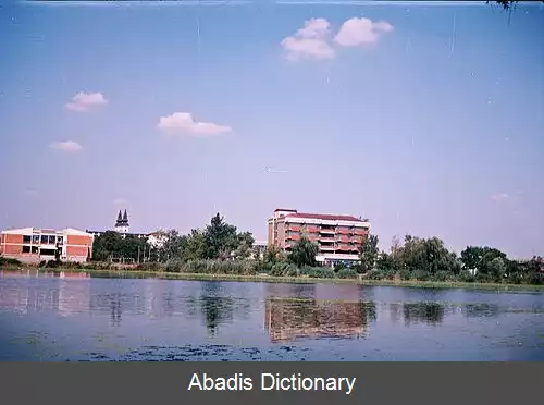 عکس سربوبران