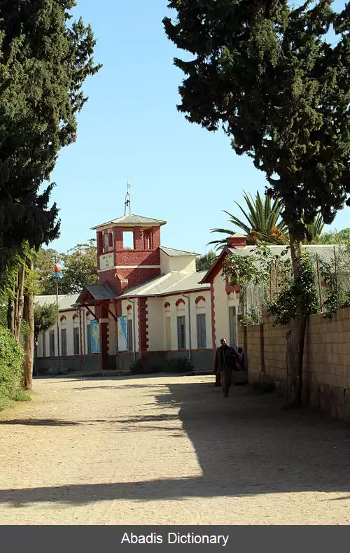 عکس سگنیتی