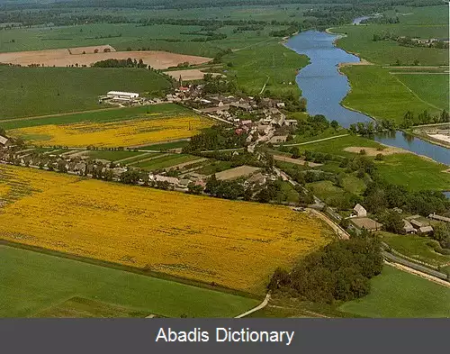 عکس ریزیگک