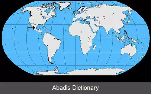 عکس کلاغ تامالیپاس