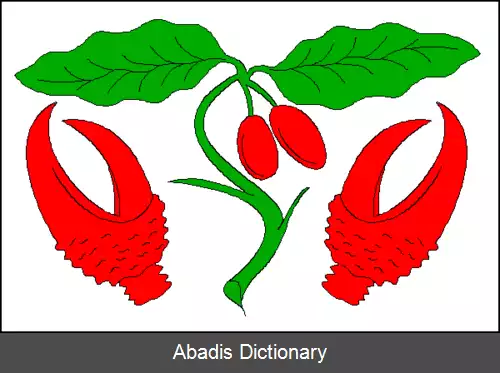عکس درینوف (ناحیه کرومیریژ)