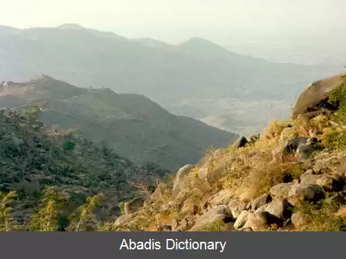 عکس ساکور