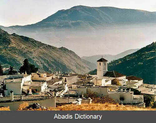 عکس کاپیلیرا