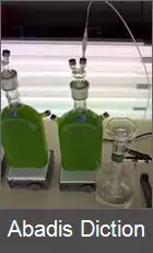 عکس تولید هیدروژن بیولوژیک (جلبک)