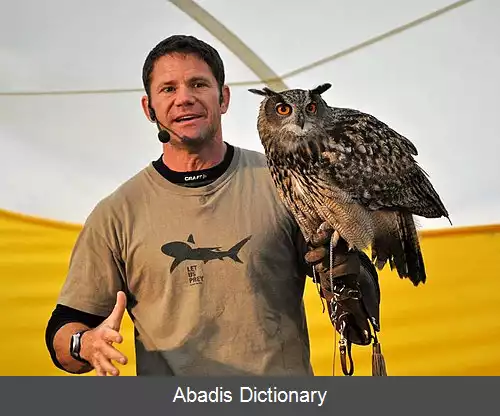 عکس استیو بکشال