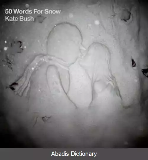 عکس ۵۰ واژه برای برف