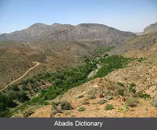 عکس سردمشک