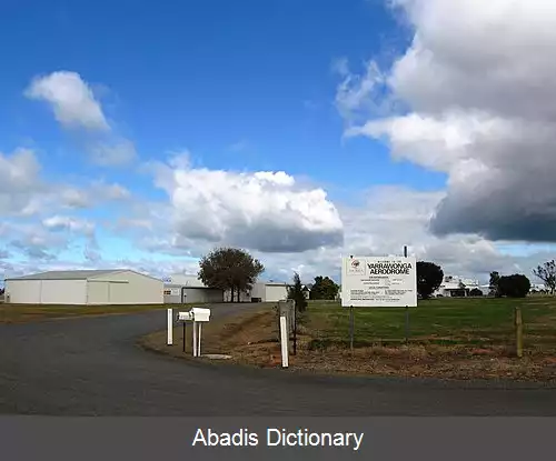 عکس فرودگاه یاراوونگا