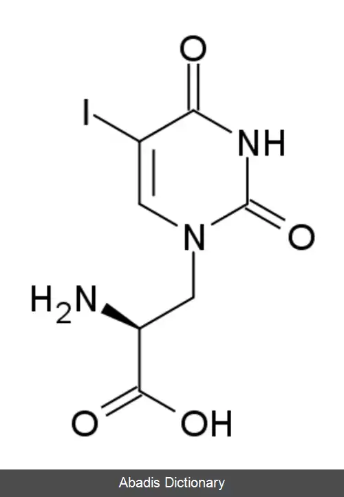 عکس ۵ یدویلاردیین