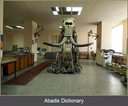 عکس فهرست های موزه های ایروان