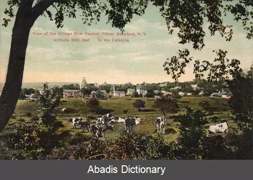 عکس استامفورد نیویورک